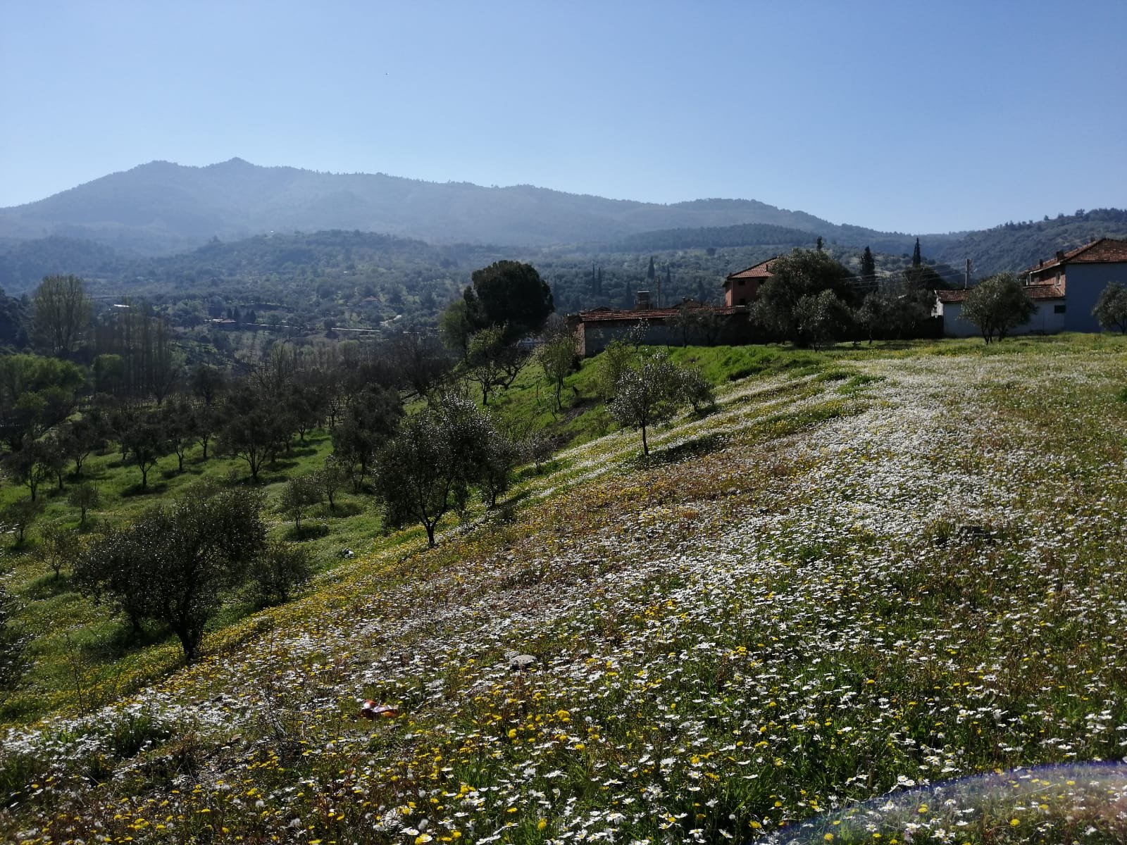 Asm Dış Görünüm 3